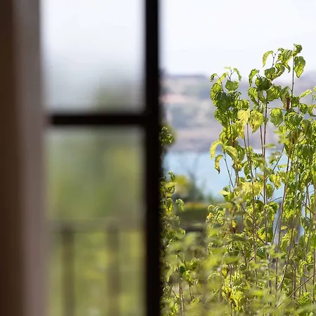 Amalen Adults Only 5* Rethymno